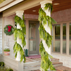 Western Cedar Gift Garlands (G3M) - DIRECT DELIVERY